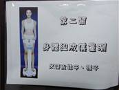 縮圖：