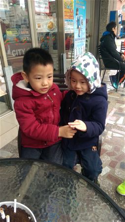 放大圖：