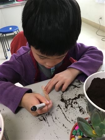 放大圖：