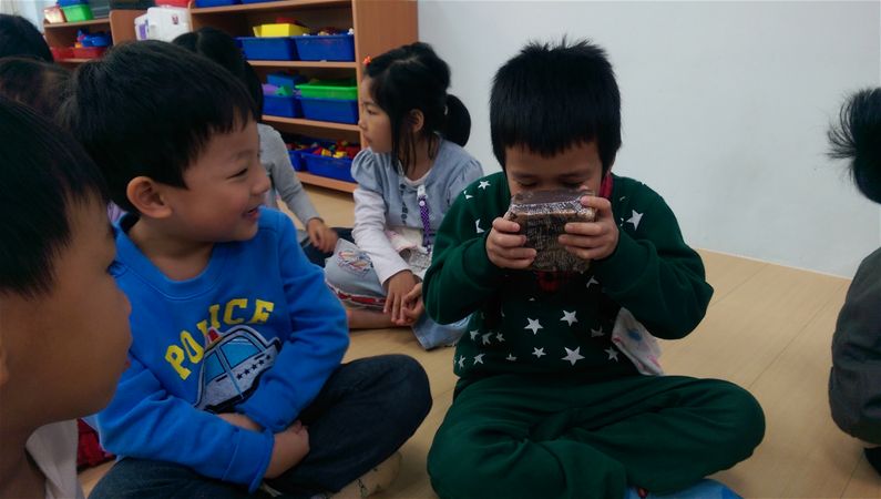 放大圖：