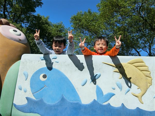 放大圖：