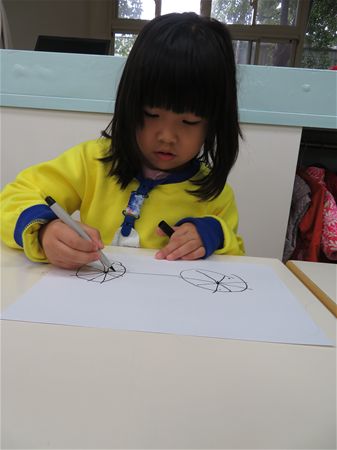 放大圖：