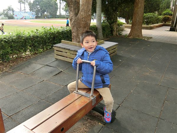 放大圖：